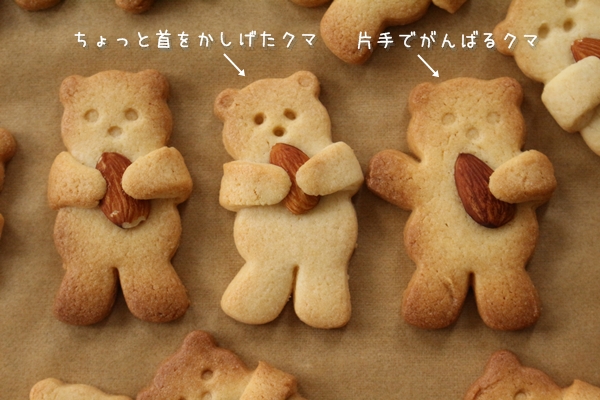 クマがナッツをギュッと抱っこするクッキー