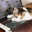 キングジム　デスクボードでキーボード猫乗り問題解決