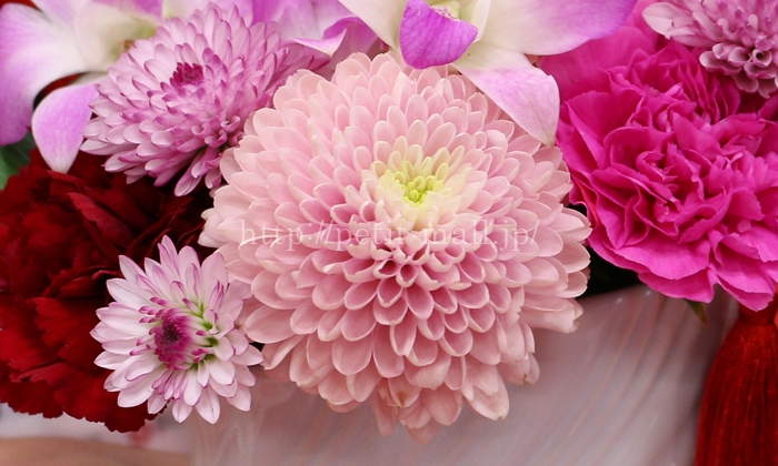 日比谷花壇　母の日 アレンジメント「花てまり」